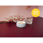 Grow Natural Candle | Midnight Orchid