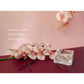 Grow Natural Candle | Midnight Orchid