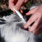 Natural Flea + Tick Squeeze-On
