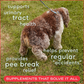 Native Pet Bladder Chews | Cranberry + D-Mannose Urinary Support