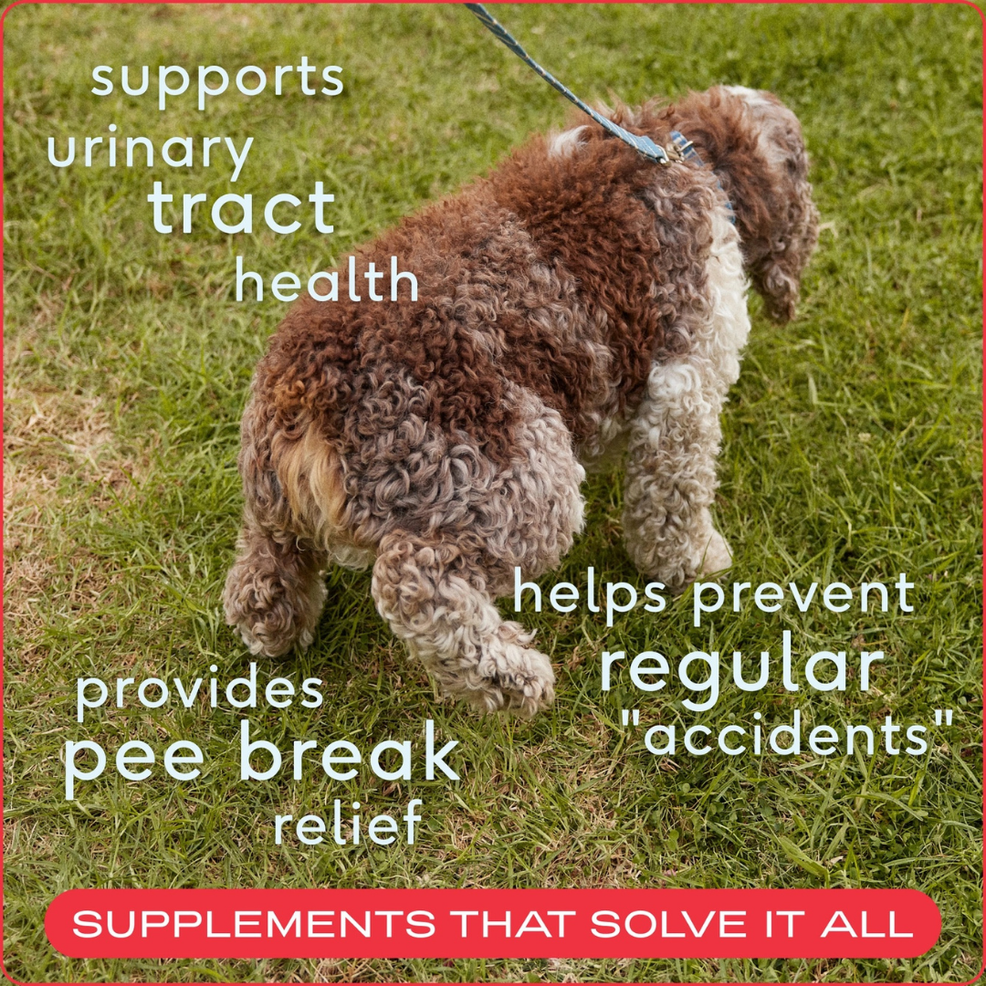 Native Pet Bladder Chews | Cranberry + D-Mannose Urinary Support