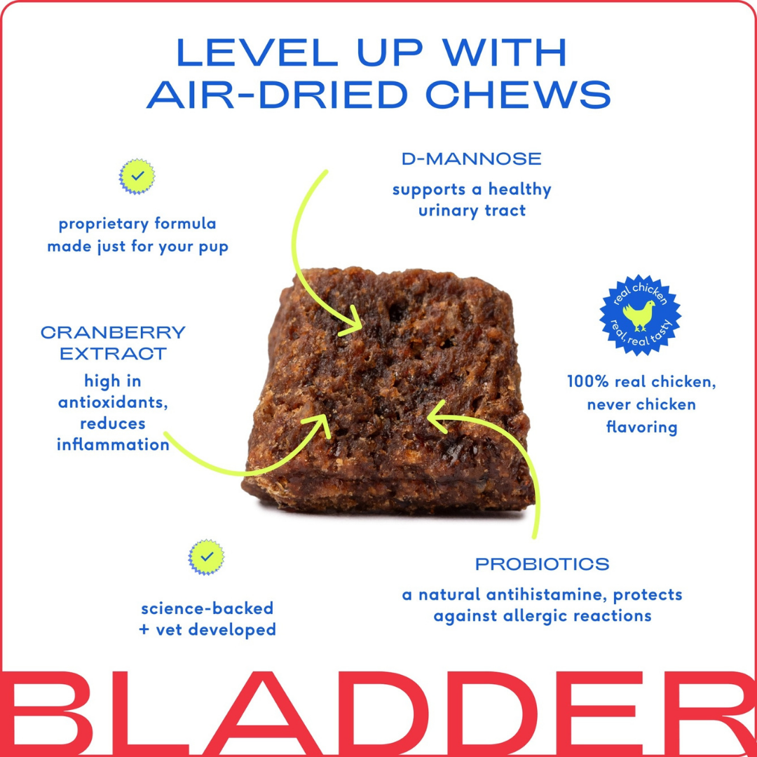 Native Pet Bladder Chews | Cranberry + D-Mannose Urinary Support