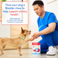 Native Pet Bladder Chews | Cranberry + D-Mannose Urinary Support