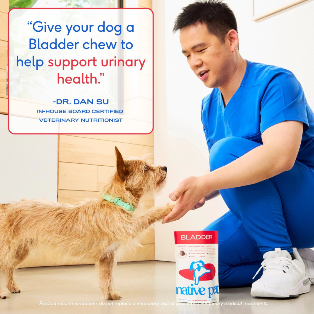 Native Pet Bladder Chews | Cranberry + D-Mannose Urinary Support