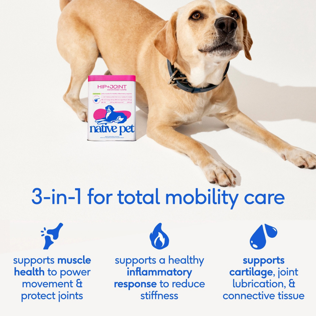 Native Pet Hip + Joint Advanced Care | Support Mobility, Joint Comfort & Muscle Strength