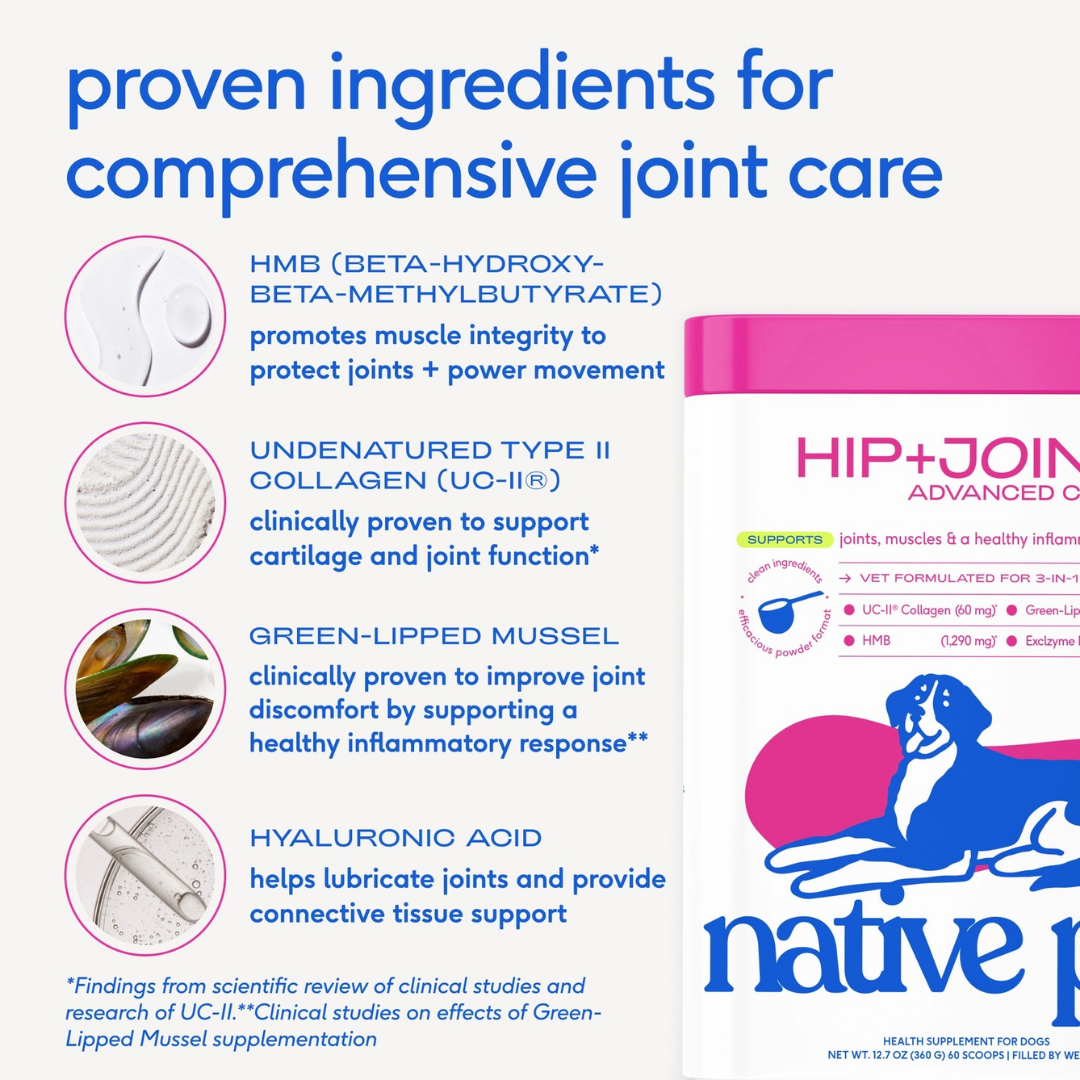 Native Pet Hip + Joint Advanced Care | Support Mobility, Joint Comfort & Muscle Strength
