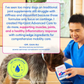 Native Pet Hip + Joint Advanced Care | Support Mobility, Joint Comfort & Muscle Strength