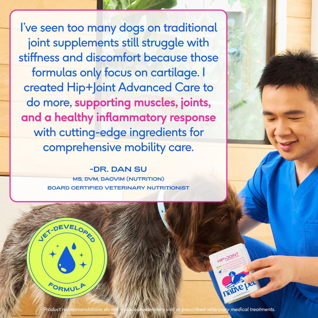 Native Pet Hip + Joint Advanced Care | Support Mobility, Joint Comfort & Muscle Strength
