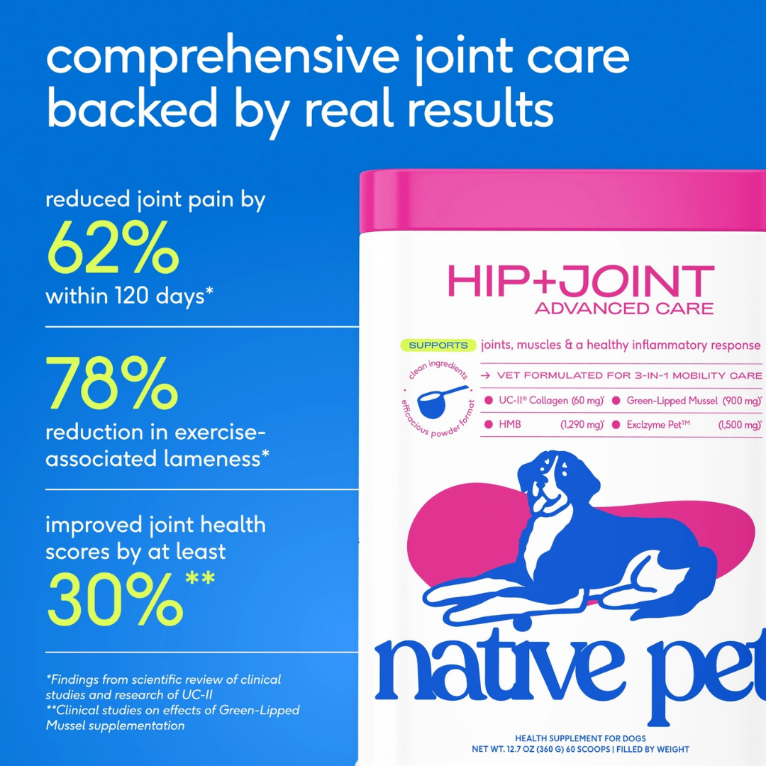 Native Pet Hip + Joint Advanced Care | Support Mobility, Joint Comfort & Muscle Strength
