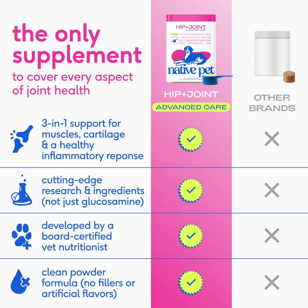 Native Pet Hip + Joint Advanced Care | Support Mobility, Joint Comfort & Muscle Strength