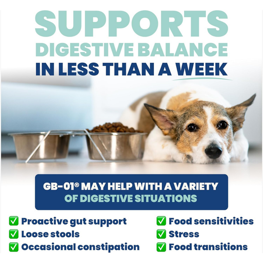 Jope SynBiotic GB-01 Gut Balance | Vet-Formulated Single-Strain Probiotic + Prebiotic