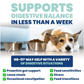 Jope SynBiotic GB-01 Gut Balance | Vet-Formulated Single-Strain Probiotic + Prebiotic