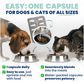 Jope SynBiotic GB-01 Gut Balance | Vet-Formulated Single-Strain Probiotic + Prebiotic