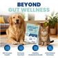 Jope SynBiotic GB-01 Gut Balance | Vet-Formulated Single-Strain Probiotic + Prebiotic