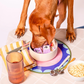 Awoo Snackaroni Slow Feeder