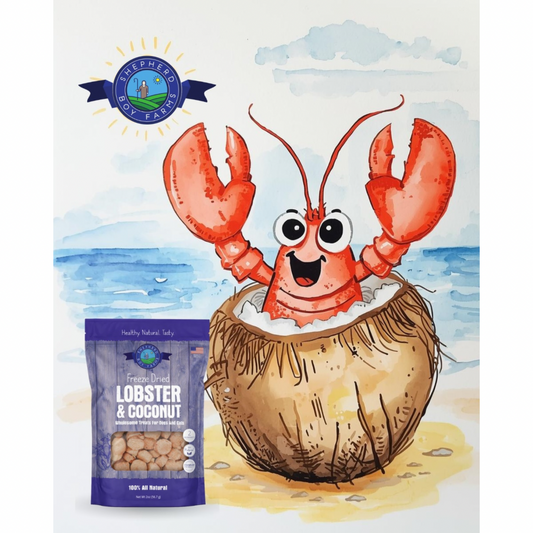Shepherd Boy Farms Lobster + Coconut