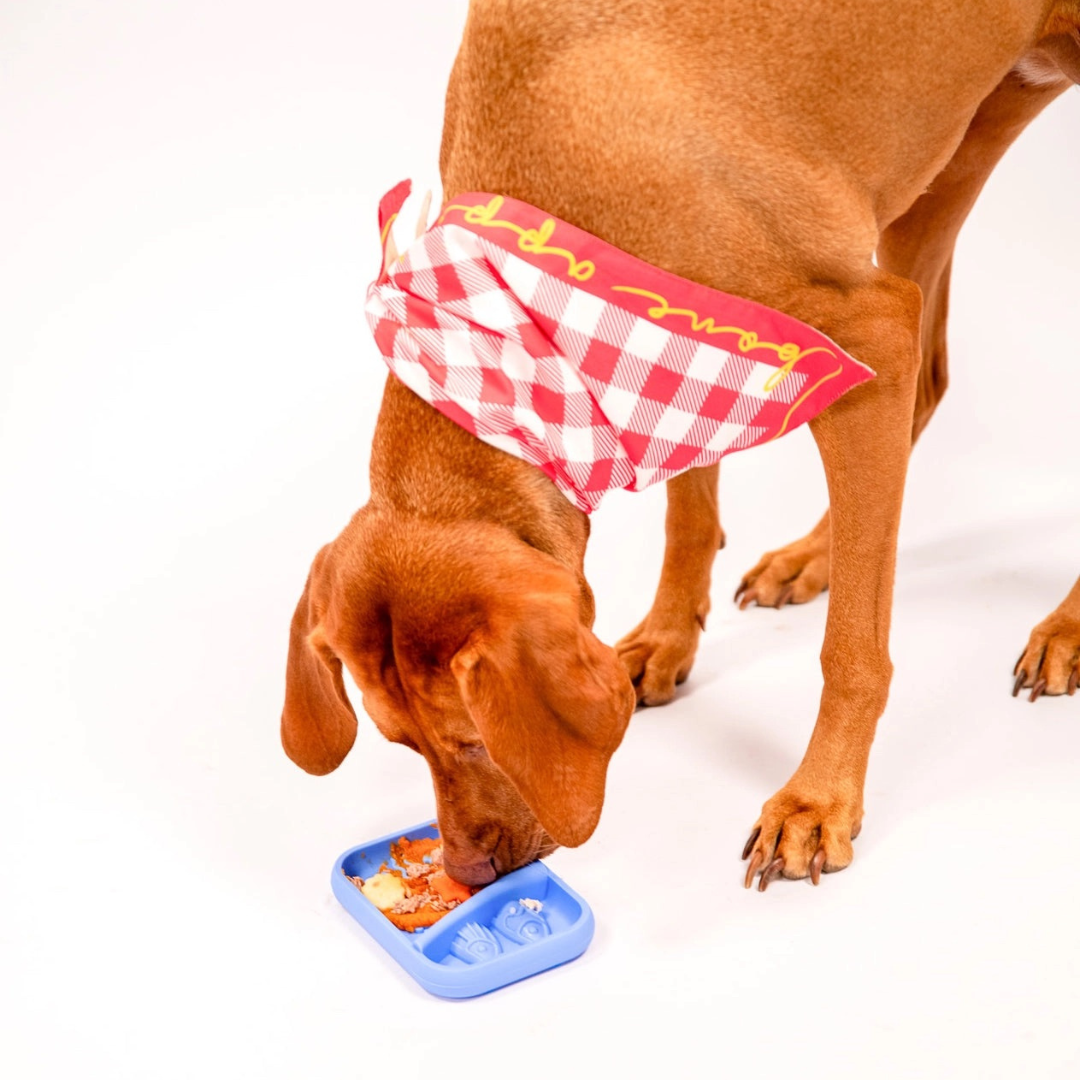 Awoo Sardina Slow Feeder