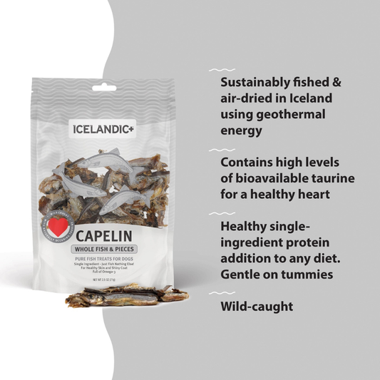 Icelandic+ Capelin Whole Fish Treats