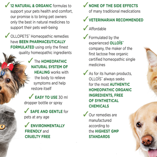 Ollopet Dental Spray | Natural Plaque + Breath Support