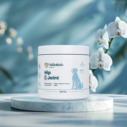 Wholistic Pet Hip & Joint Soft Chews | Natural Mobility + Joint Support