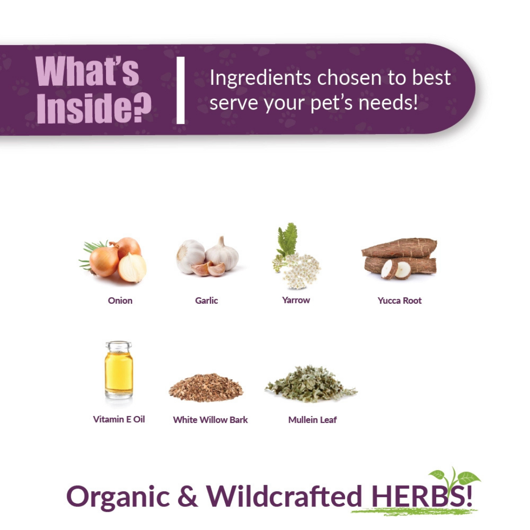 Amber Naturalz Otaxium Drops | Natural Ear Care + Itch Relief