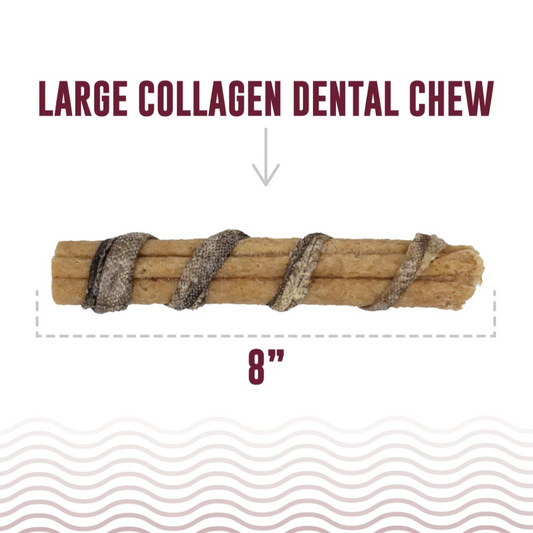 Icelandic+ Collagen Dental Chew Wrapped With Cod Skin - 8”