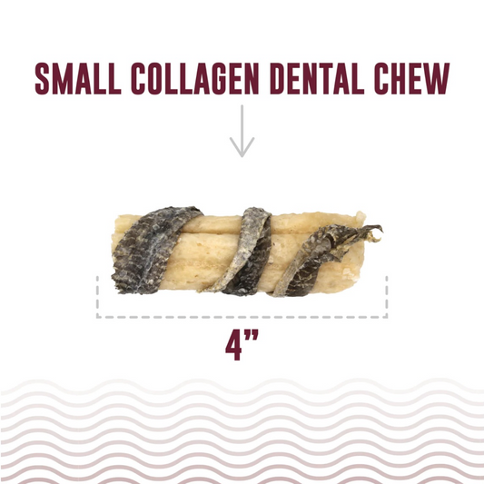 Icelandic+ Collagen Dental Chew Wrapped With Cod Skin - 4"