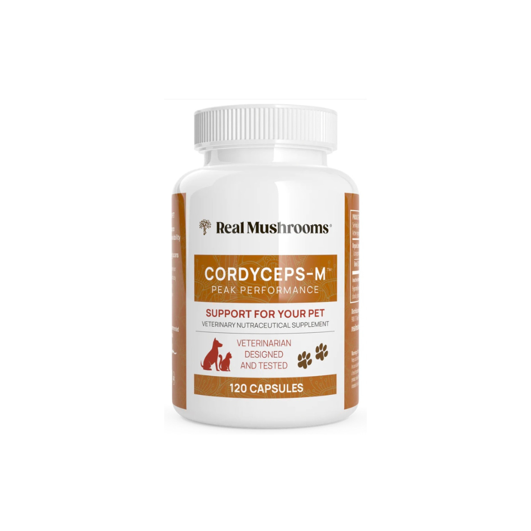 Pure Real Mushroom Cordyceps for Vitality