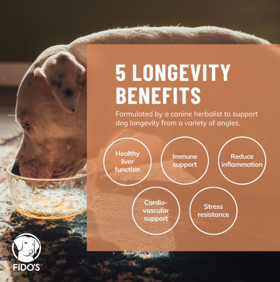 Fido’s Dehydrated Bone Broth Powder | Longevity