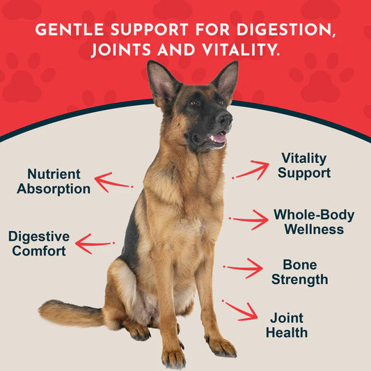 Alfalfa Herbal Tonic | Organic Mineral + Joint Support
