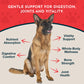 Animal Essentials Alfalfa Herbal Tonic | Organic Mineral + Joint Support
