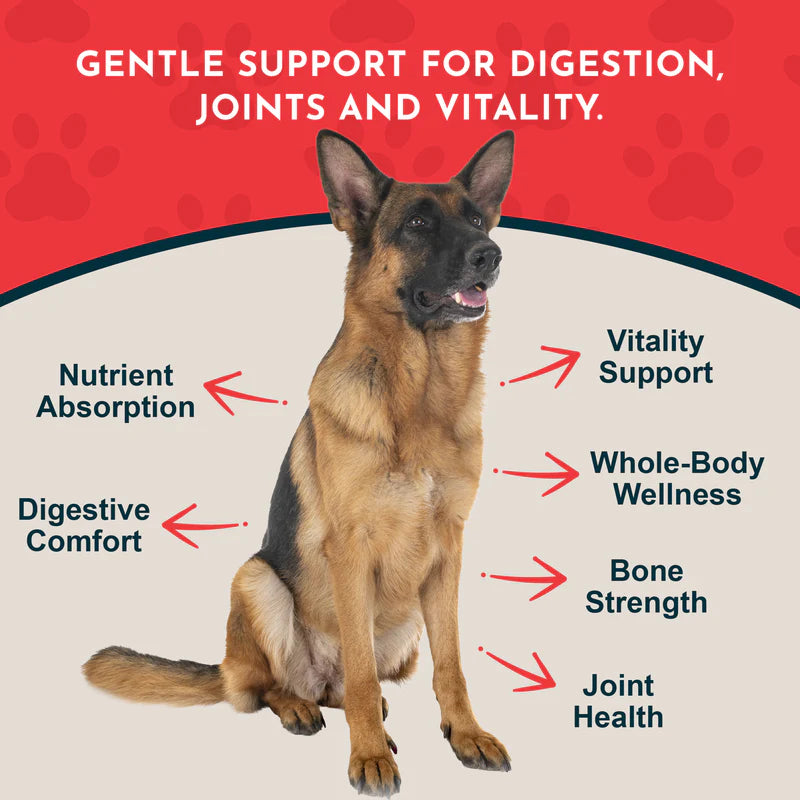 Animal Essentials Alfalfa | Gentle Joint + Detox Support