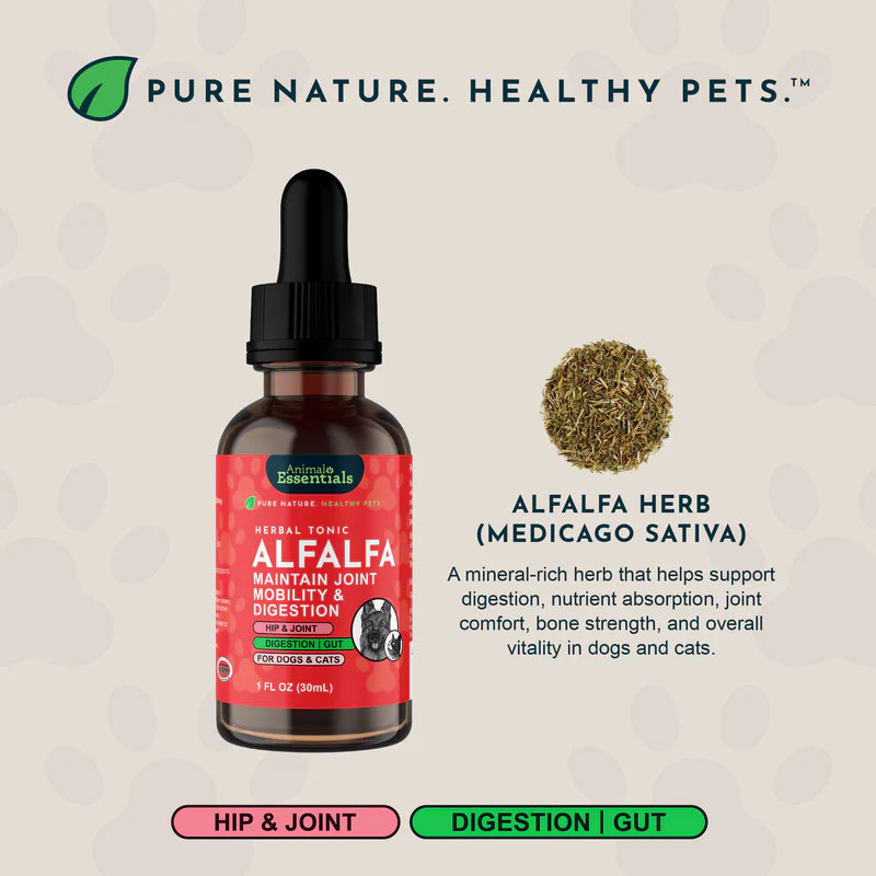 Animal Essentials Alfalfa | Gentle Joint + Detox Support