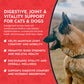 Animal Essentials Alfalfa Herbal Tonic | Organic Mineral + Joint Support
