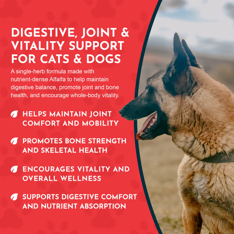 Animal Essentials Alfalfa | Gentle Joint + Detox Support