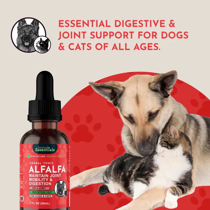 Animal Essentials Alfalfa | Gentle Joint + Detox Support