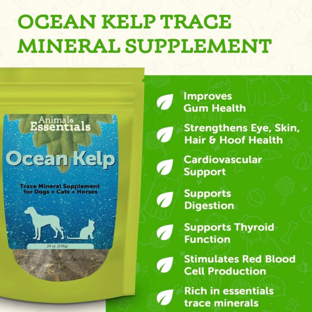 Animal Essentials Organic Ocean Kelp | Trace Minerals