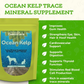 Animal Essentials Organic Ocean Kelp | Trace Minerals