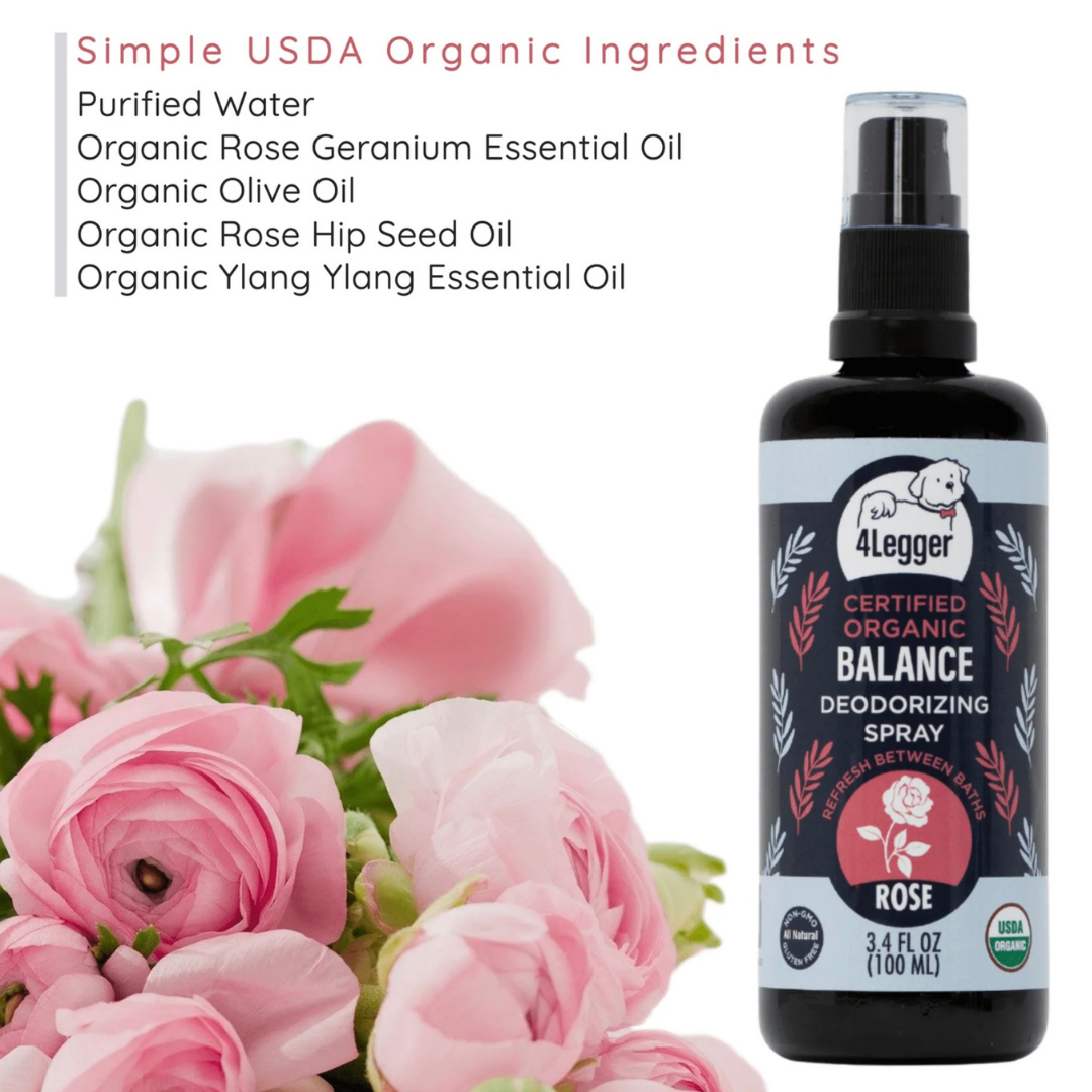 4-Legger Organic Deodorizing Spray | Balance