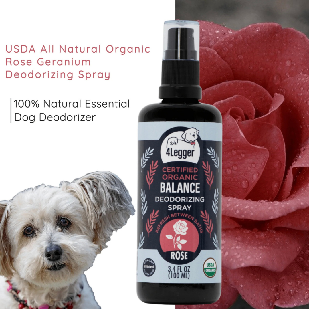 4-Legger Organic Deodorizing Spray | Balance