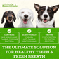 Animal Essentials SeaDent | Dental Supplement