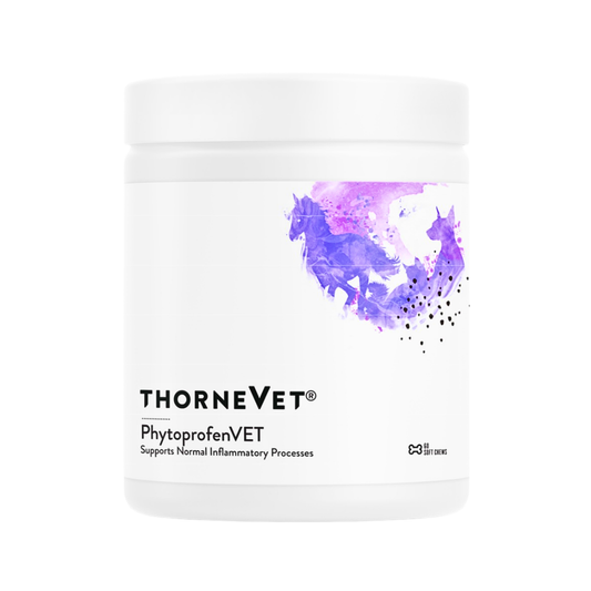 ThorneVet Phytoprofen Chews | Natural Pain & Inflammation Relief