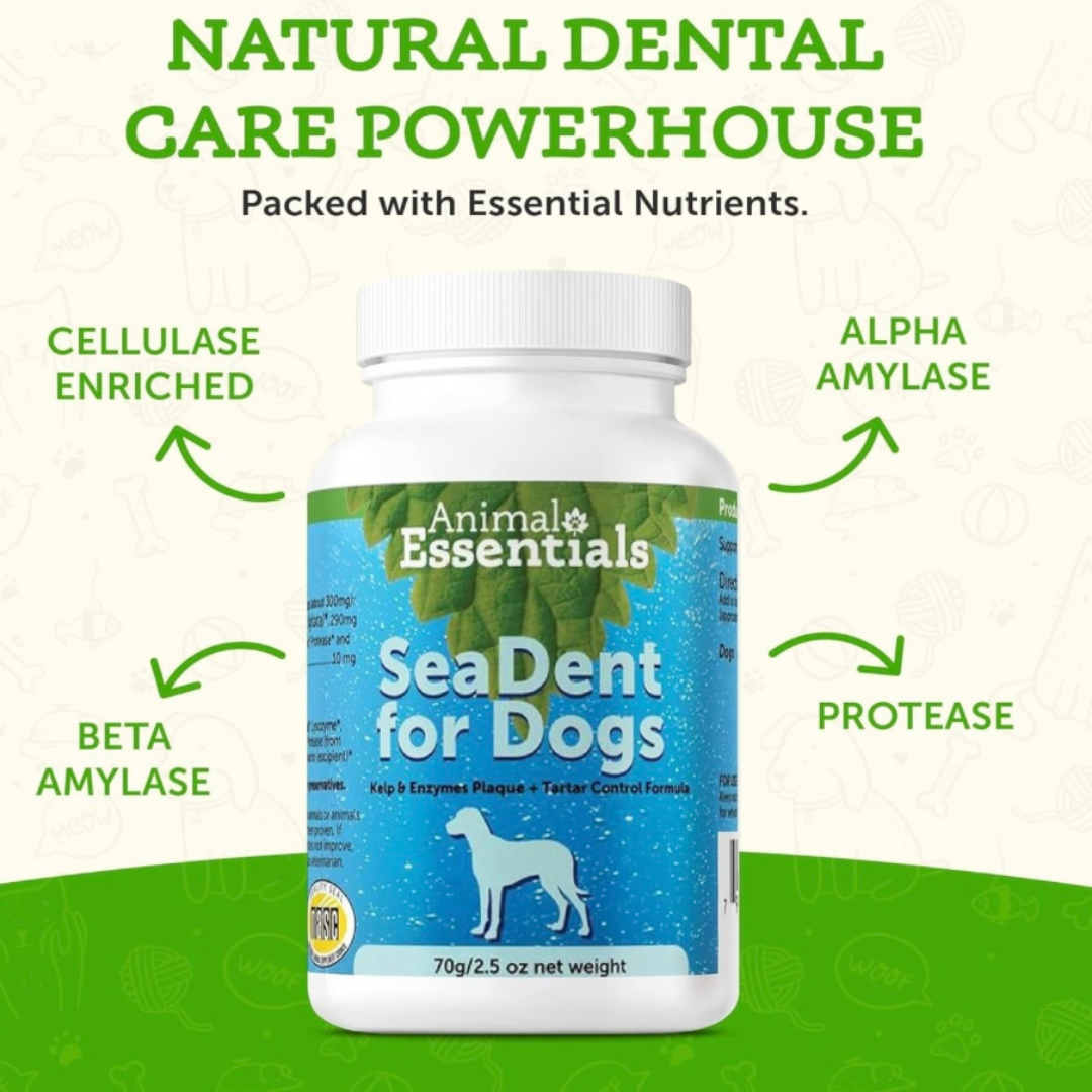 Animal Essentials SeaDent | Dental Supplement