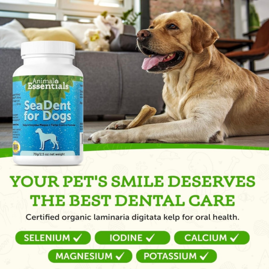 Animal Essentials SeaDent | Dental Supplement