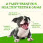 Animal Essentials SeaDent | Dental Supplement