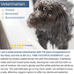 Organic Lemongrass + Aloe Dog Shampoo for Sensitive Skin