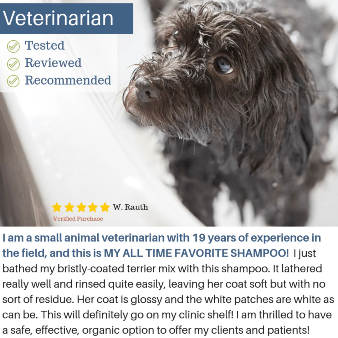 4-Legger Organic Shampoo | Lemongrass + Aloe