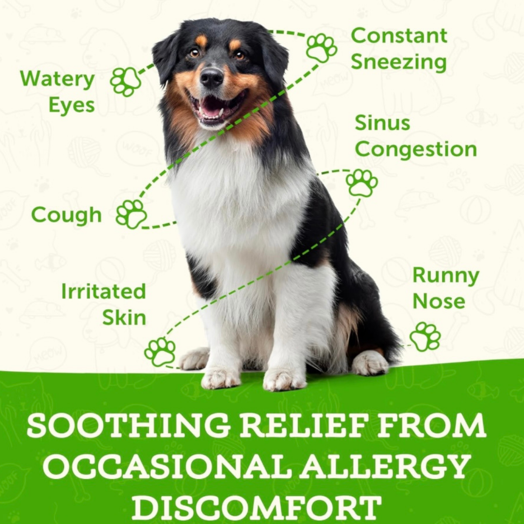 Animal Essentials Seasonal Allergy