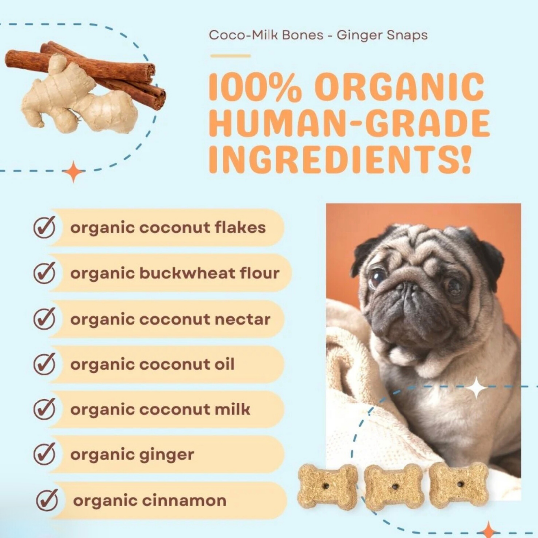 CocoTherapy Coco-Milk Bones | Ginger Snaps