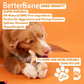 BetterBone Natural Dog Chew | Hard